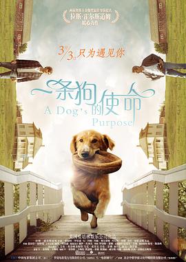 亚洲人成中文字幕在线观看
